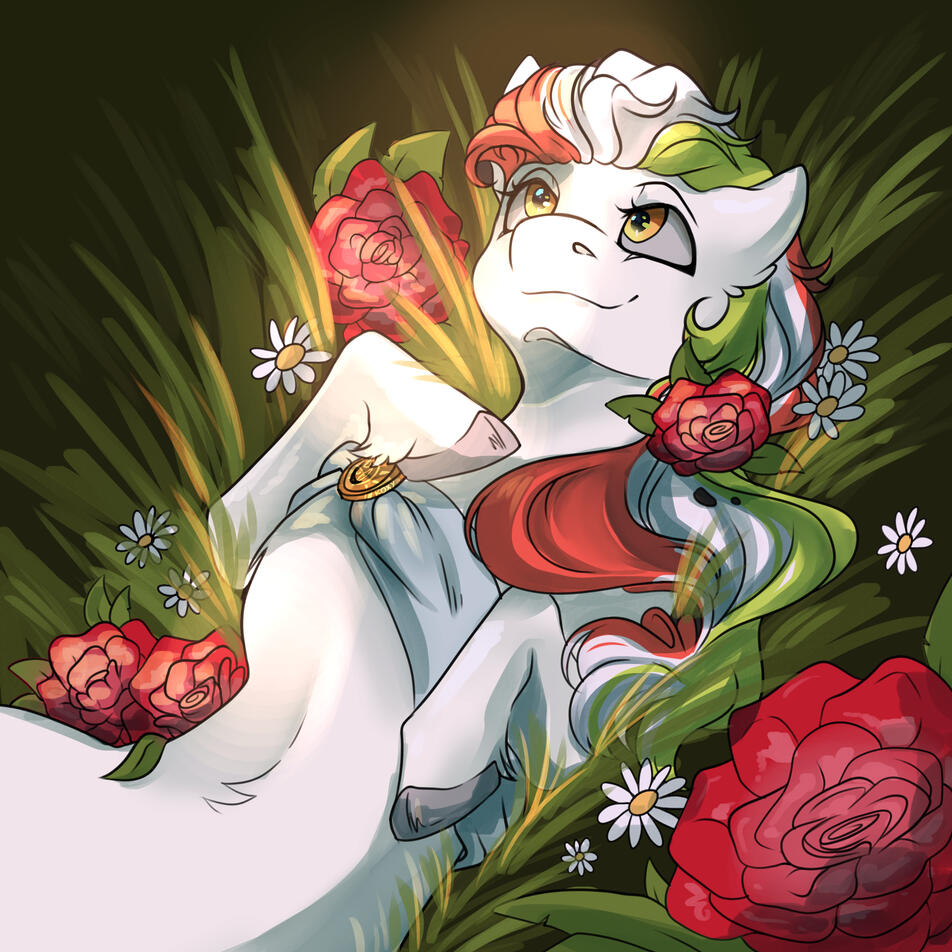 HALF (1 ) + BG - €55