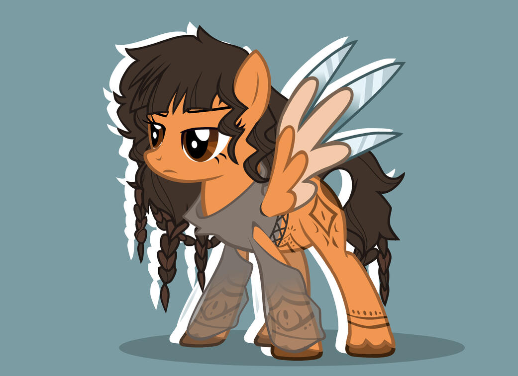 STANDARD + details - €25